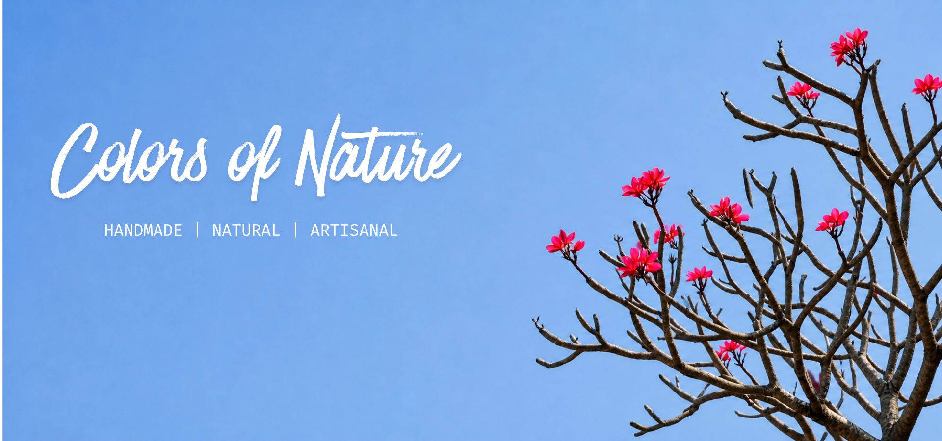 slider image slider_item_g8bQjt